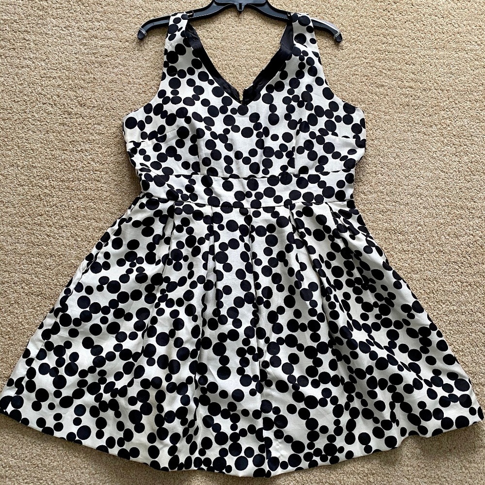 Taylor Black/White Polka Dot Fit & Flare Dress 14